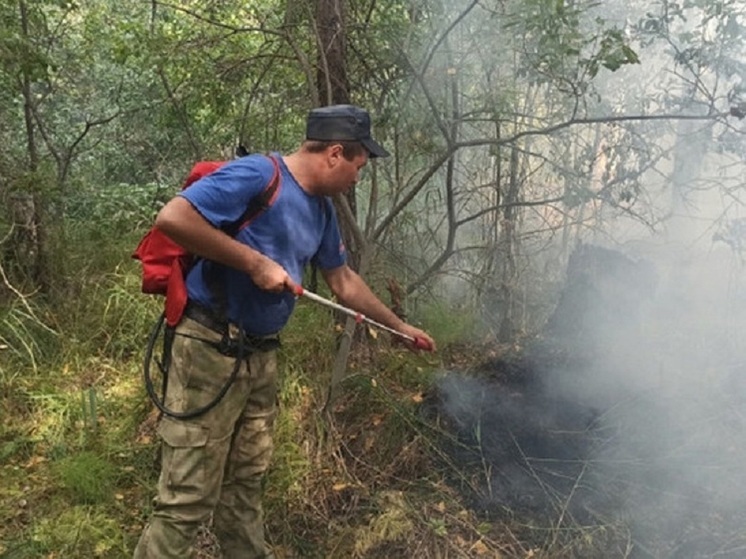 Курганским погорельцам выданы жилищные сертификаты на 434 миллиона рублей