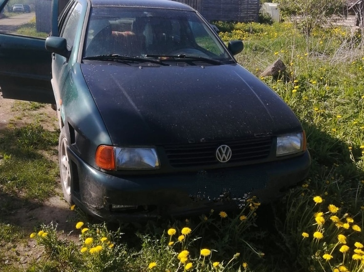 Алиментщик из Великолукского района лишился автомобиля за долги перед ребенком