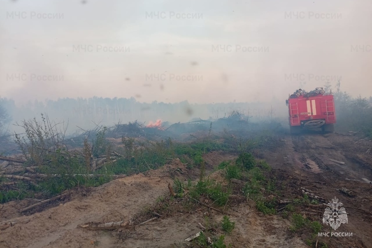 Костромские успехи: пожар в Парфеньевском районе потушен