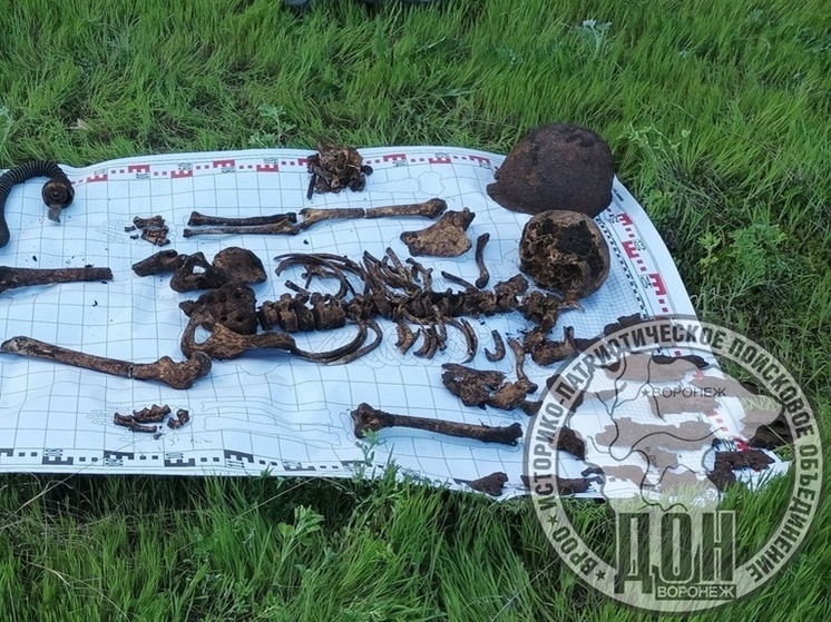 Зверские убийства нацистами жителей Воронежской области признали геноцидом