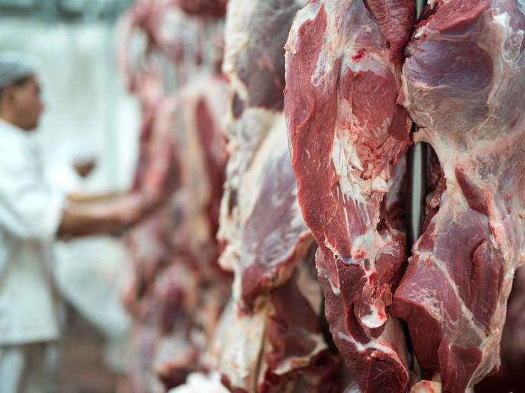 В Омске продавали говядину с зашкаливающим содержанием антибиотика