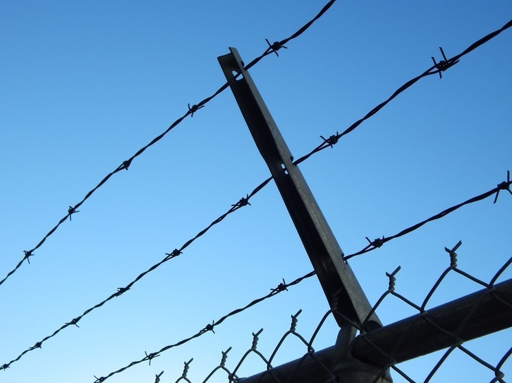 Пограничники задержали более 300 нарушителей в Ленобласти за две недели