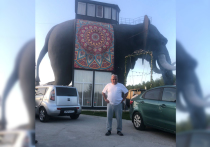Слон в «российской лавке»
