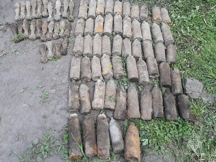 В Калужской области в поле нашли 24 мины и 55 артснарядов