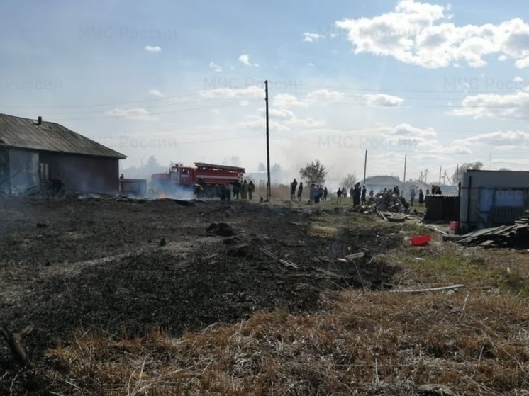 Возгорание на площади в 4 километра ликвидировали в Новосибирской области