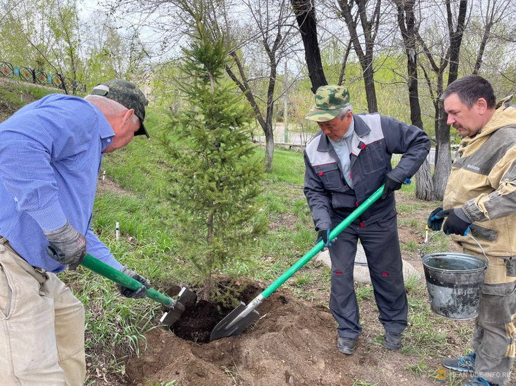 В сквере Пограничников Улан-Удэ высадили 400 саженцев деревьев