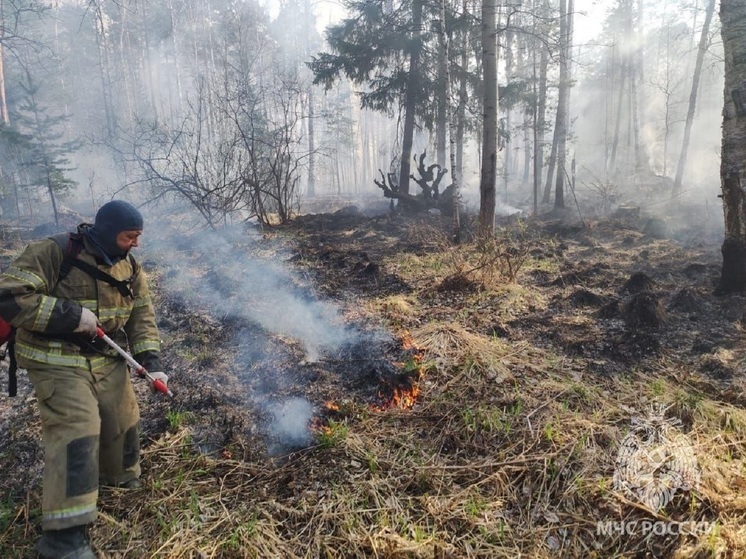 Меньше 20 действующих природных возгораний осталось в Свердловской области