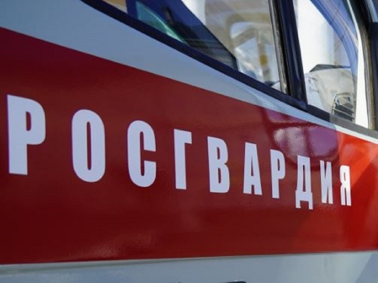В Костромской области при ремонте дома нашли взрывчатку