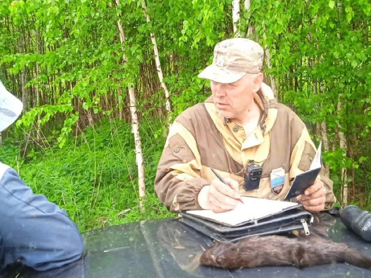 Во Владимирской области мужчина убил краснокнижную норку