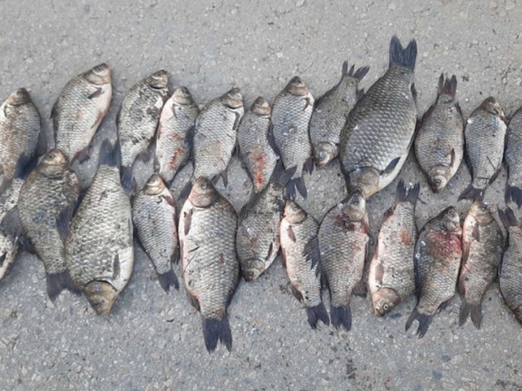 В Бурятии напомнили о запрете ловли рыбы в нерестовый период