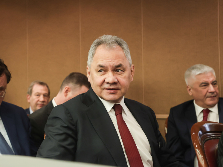 Министр обороны РФ Шойгу прибыл в Белоруссии