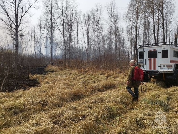 В Новосибирской области с начала пожароопасного сезона огнем было охвачено свыше 1500 гектаров леса
