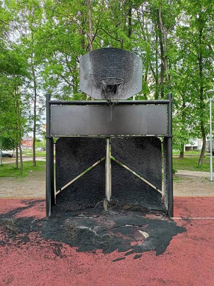 Пскович сжег баскетбольную площадку, потому что ему мешал шум - Борис Елкин