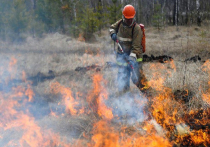 Грозовые пожары начались в Хабаровском крае. Одно из таких бедствий случилось в Солнечном районе – за сутки там зафиксировали два пожара, сообщили в правительстве Хабаровского края.