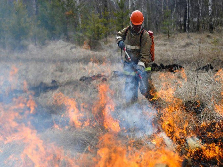 Сезон грозовых пожаров начался в Хабаровском крае
