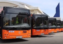 Шесть новых троллейбусов российско-белорусского производства на автономном ходу пополнили автопарк Хабаровска. До 10 июня все они отправятся на маршрут, сообщили в мэрии краевой столицы.