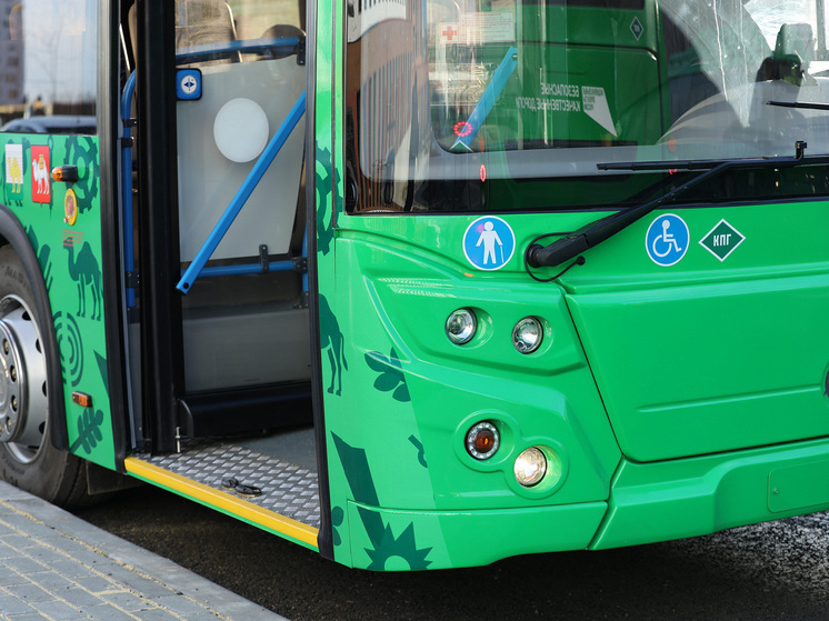 Челябинской области выделили 1,2 млрд рублей на новые автобусы