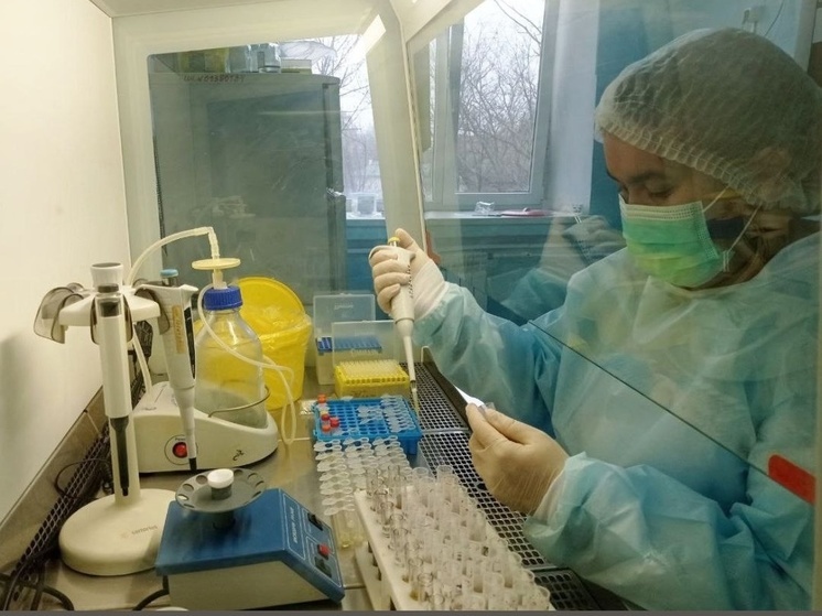 В Центре крови Калмыкии начали выполнять 25 новых видов анализов