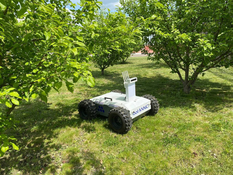 В Тамбовской области создали робота, который выявляет заболевания фруктовых деревьев