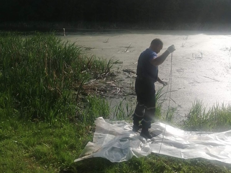 В Пензе из водоема вытащили тело погибшего мужчины