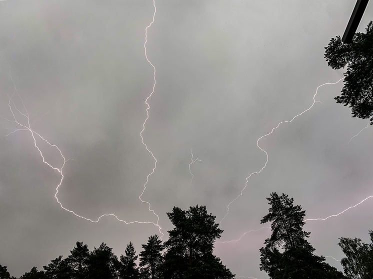 25 мая в Рязанской области выпустили метеопредупреждение из-за ливней и града
