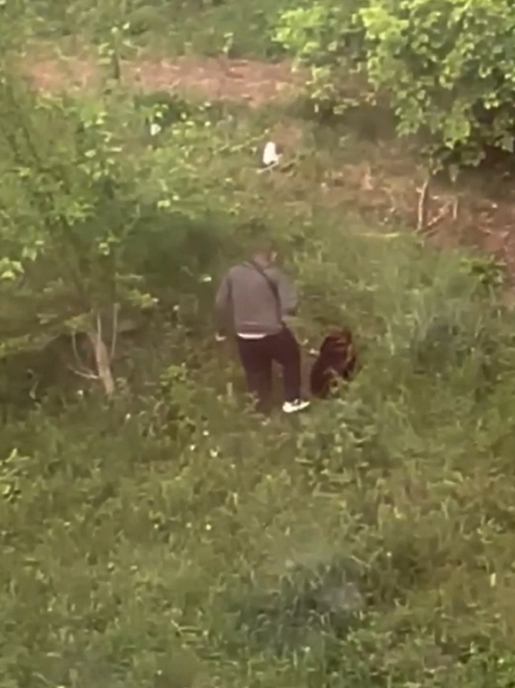 В Тверской области мужчина бил собаку ногами на глазах у людей