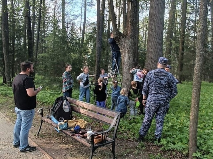 В Абрамцево сотрудники музея помогли достать из дупла утят