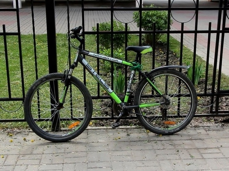 В Мичуринске 15-летний подросток получит условный срок за кражу велосипеда