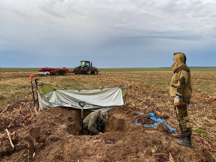 Поисковики выяснили, чьи останки нашли под Ржевом Тверской области