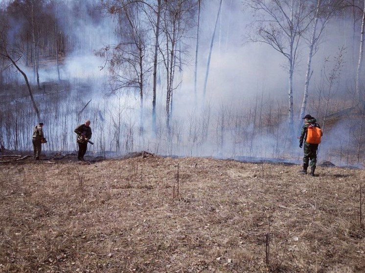 В Приангарье за сутки потушили 2 лесных пожара