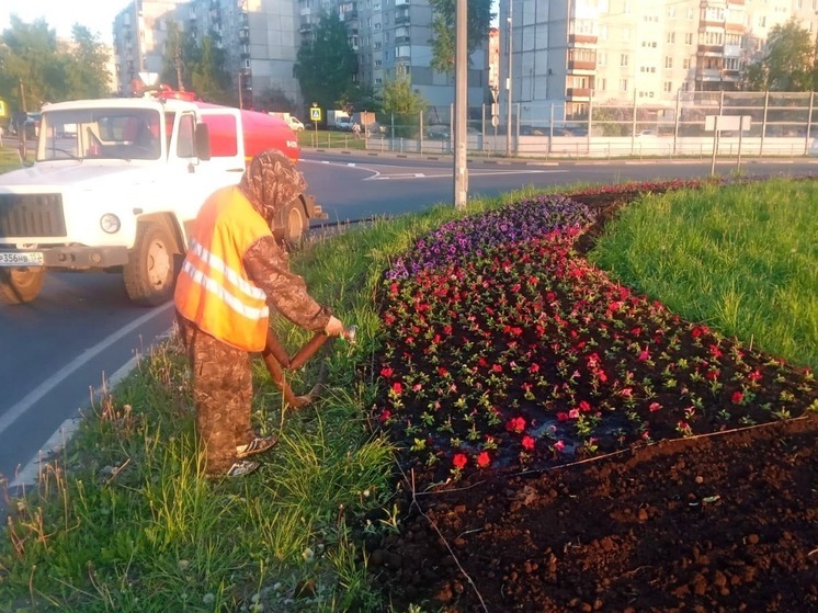 216 цветников из однолетних растений высадят в Нижнем Новгороде в 2023 году