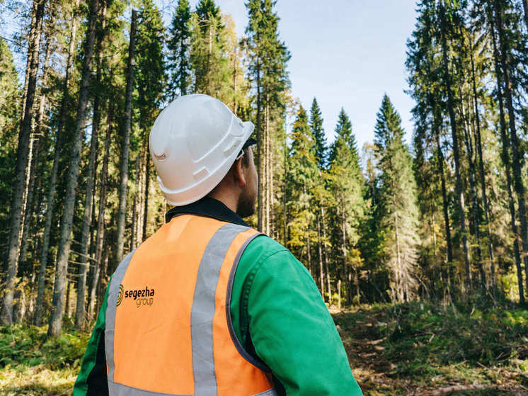 Segezha Group за отечественную систему добровольной лесной сертификации