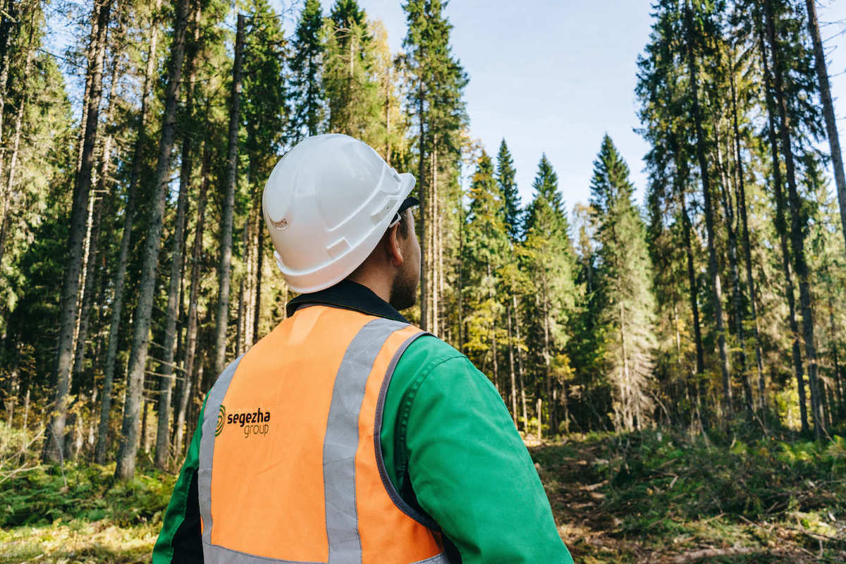 Segezha Group за отечественную систему добровольной лесной сертификации