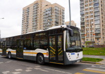 По данным Минтранса Подмосковья, с начала года на линиях Мострансавто уже начали работать более 300 автобусов большого класса, около 400 - среднего, а также порядка 140 - малого