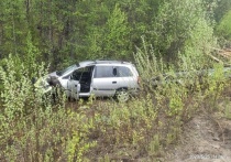 В Мурманской области произошло серьезное ДТП, в результате которого пострадал человек. На месте происшествия работали сотрудники ПЧ-41 Оленегорского филиала.