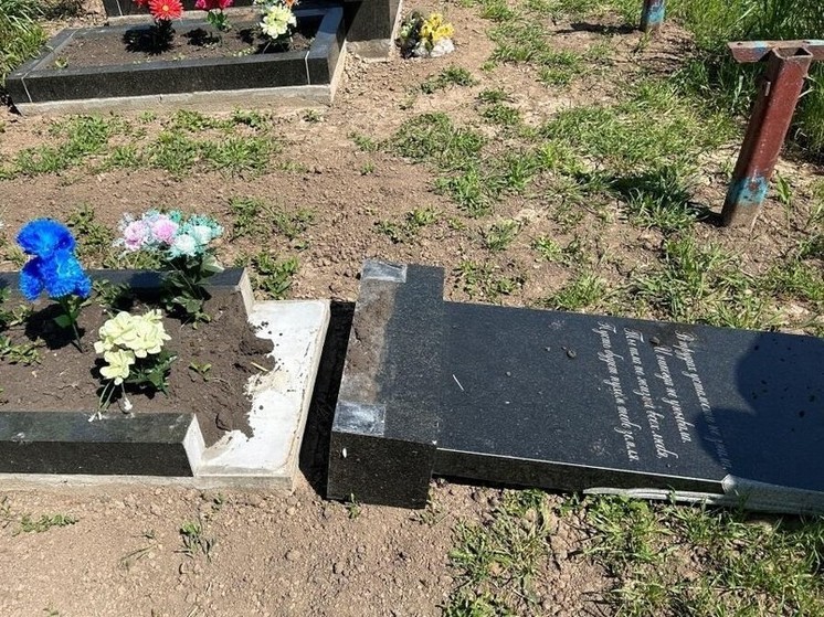 Школьники устроили погром на кладбище в Волновахском районе ДНР