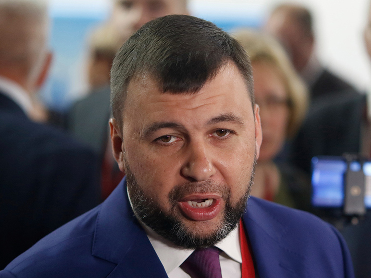 Врио главы ДНР Пушилин подписал закон об учреждении медали "За освобождение Артемовска"