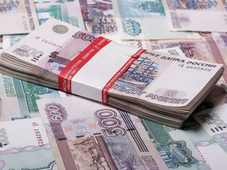 Контролем эффективности использования бюджета ДНР займется Счетная палата