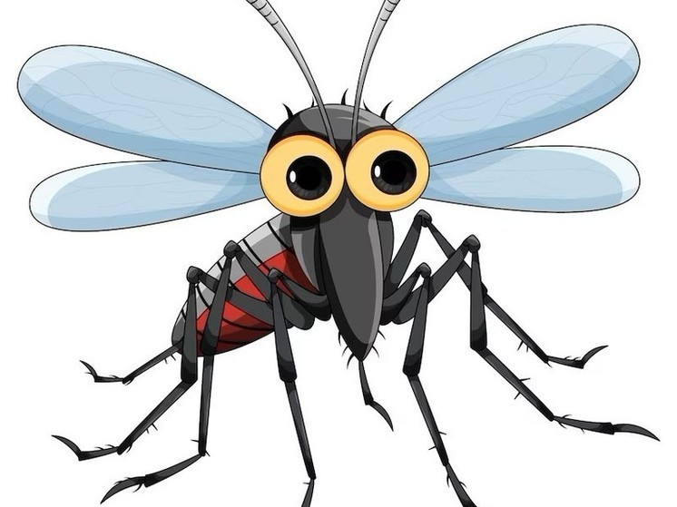 Не убивать комаров и не бить посуду: приметы и запреты на 26 мая