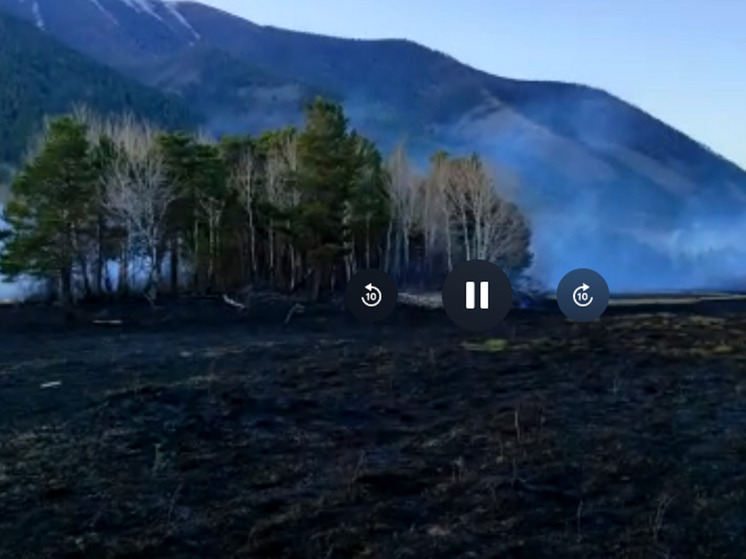 На севере Бурятии лесной пожар вспыхнул из-за сжигания прошлогодней травы