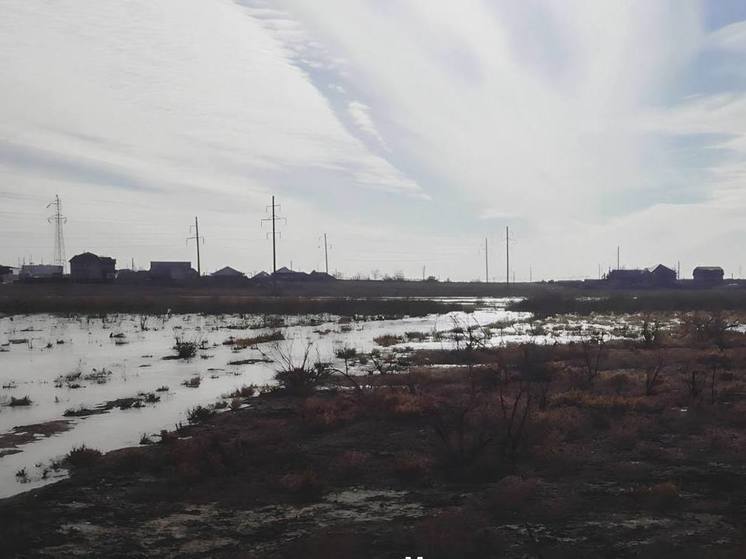 Ущерб почвам из-за разлива нечистот под Астраханью превысил 2 млрд рублей