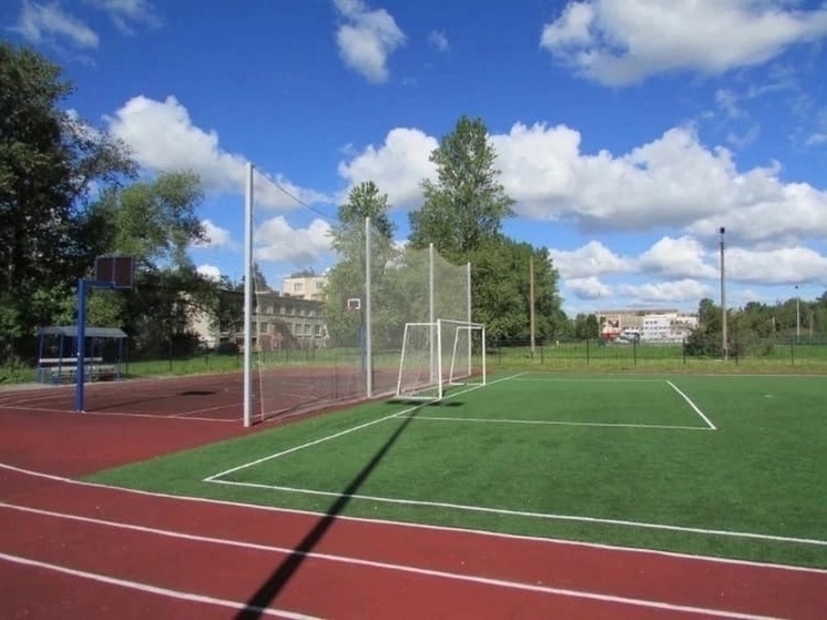 Школа в Петрозаводске собирает деньги на постройку стадиона, времени мало