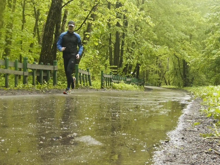 Синоптики прогнозируют прохладную погоду и кратковременные дожди в выходные в Подмосковье