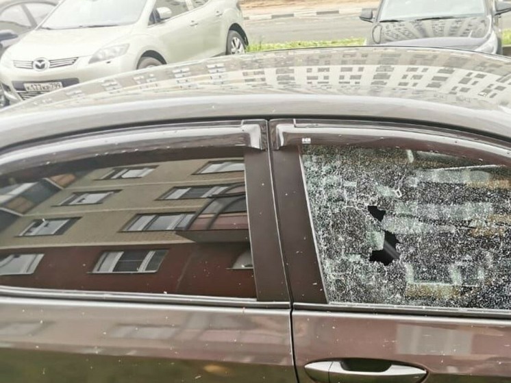 В Люберцах дворник во время стрижки газона разбил окна припаркованной машины
