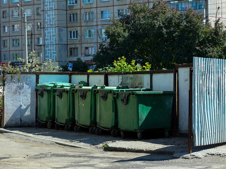В Челябинске на мусорку выбросили младенца