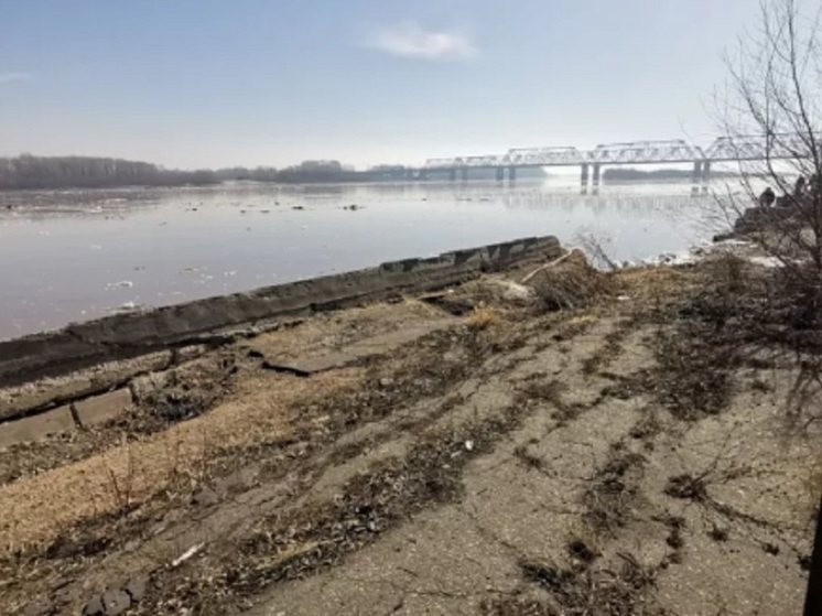 Труп лошади достали из воды на набережной в алтайском городе