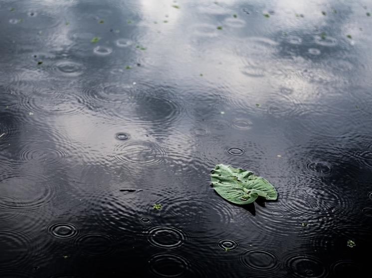 Не забывайте зонт: в Марий Эл ожидаются дождливые выходные