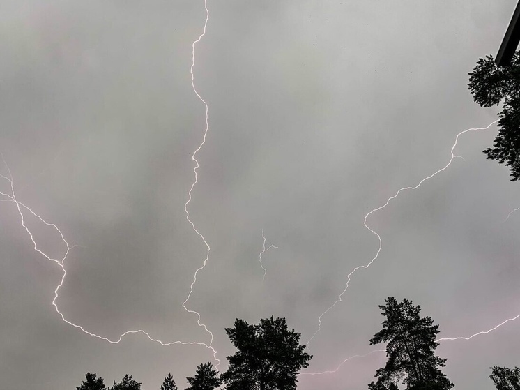 26 мая в Рязанской области выпустили метеопредупреждение из-за дождей