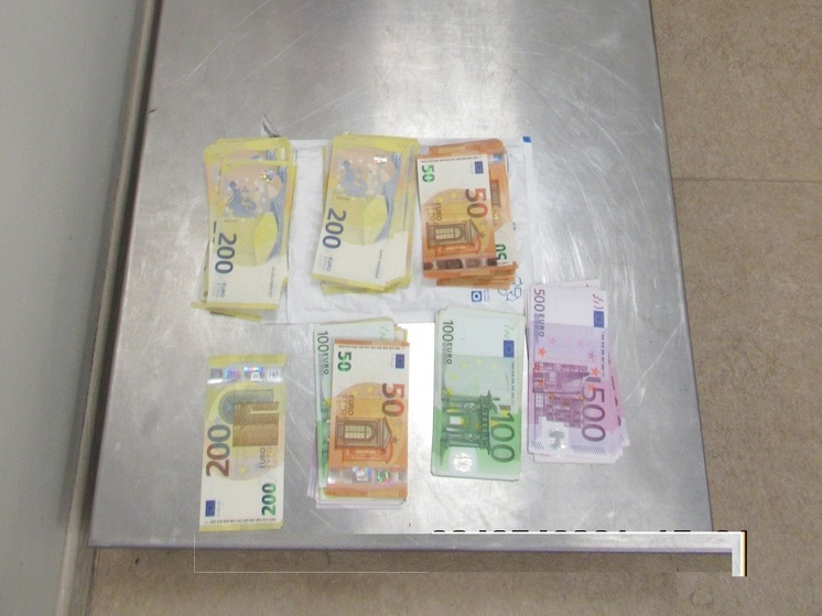 Пассажира с двумя чемоданами валюты остановили в Пулково