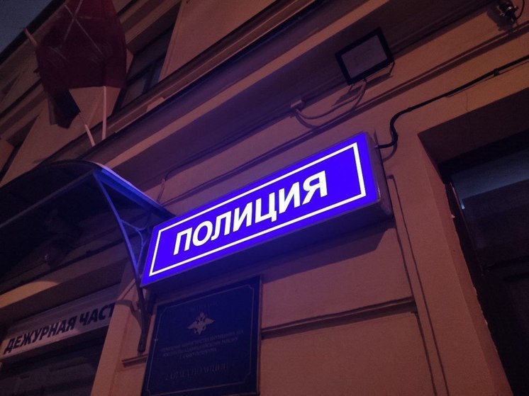 В Петербурге задержали пару, подозреваемую в краже флага со здания Контрольно-счетной палаты